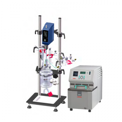 Glass Pressure Reactor