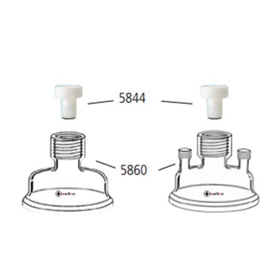 Column Head